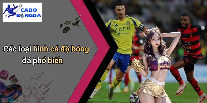 Các loại hình cá độ bóng đá phổ biến