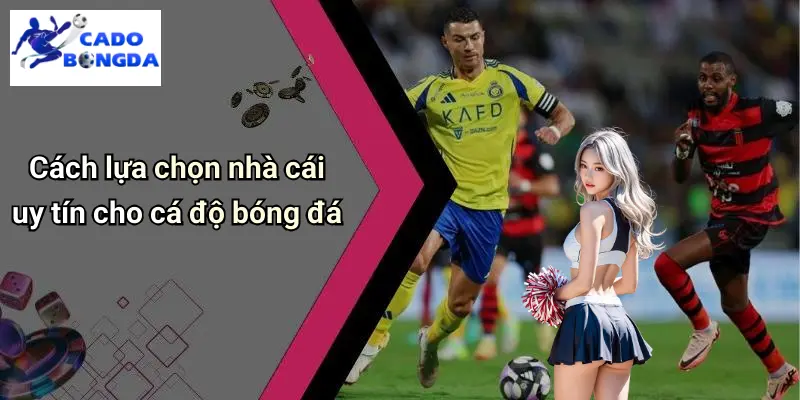 Cách lựa chọn nhà cái uy tín cho cá độ bóng đá