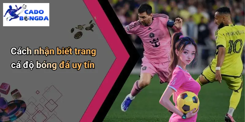 Cá Độ Bóng Đá