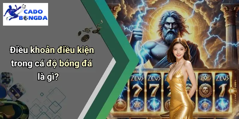Điều khoản điều kiện trong cá độ bóng đá là gì?