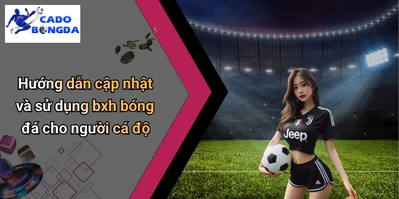 Hướng dẫn cập nhật và sử dụng bxh bóng đá cho người cá độ
