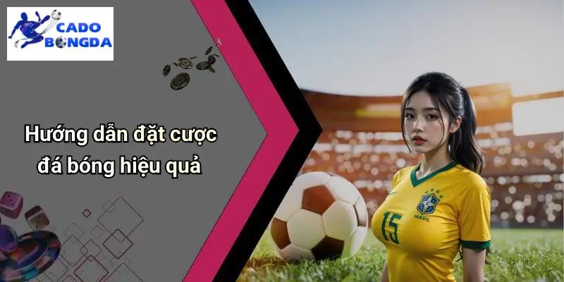 Cá Độ Bóng Đá