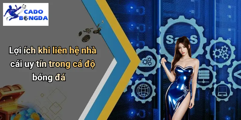 Lợi ích khi liên hệ nhà cái uy tín trong cá độ bóng đá