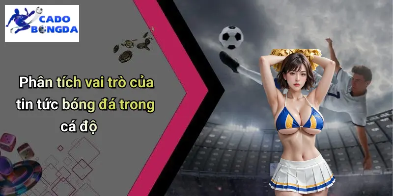 Phân tích vai trò của tin tức bóng đá trong cá độ