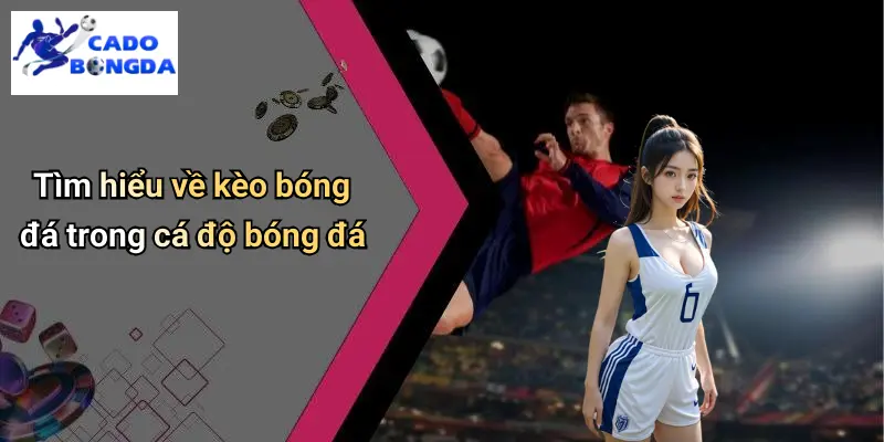 Tìm hiểu về kèo bóng đá trong cá độ bóng đá