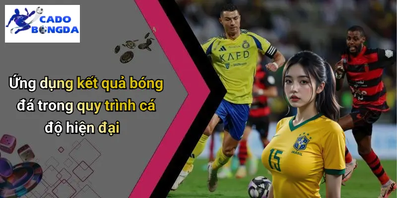 Kết Quả Bóng Đá 31 Ứng dụng kết quả bóng đá trong quy trình cá độ hiện đại