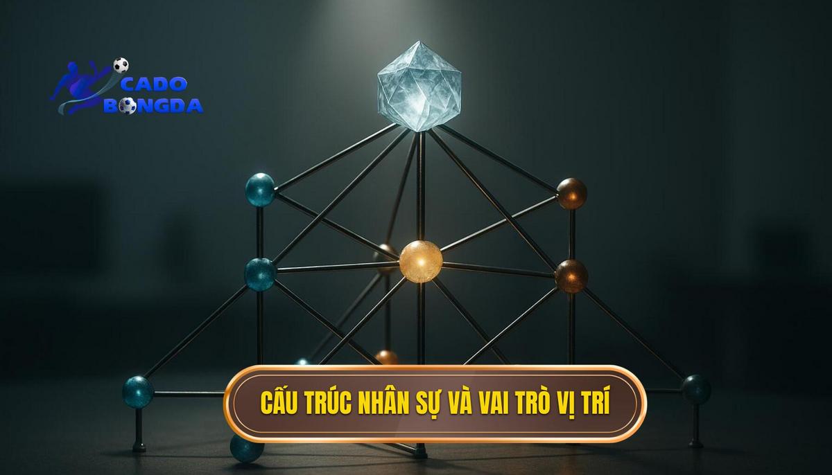 Cấu trúc nhân sự và vai trò của các vị trí trong hệ thống