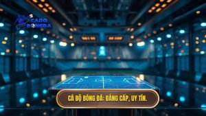 Những Sai Lầm Thường Gặp Khi Cá Cược Bóng Đá