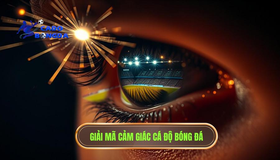 Bản chất của "cảm giác" trong cá độ bóng đá