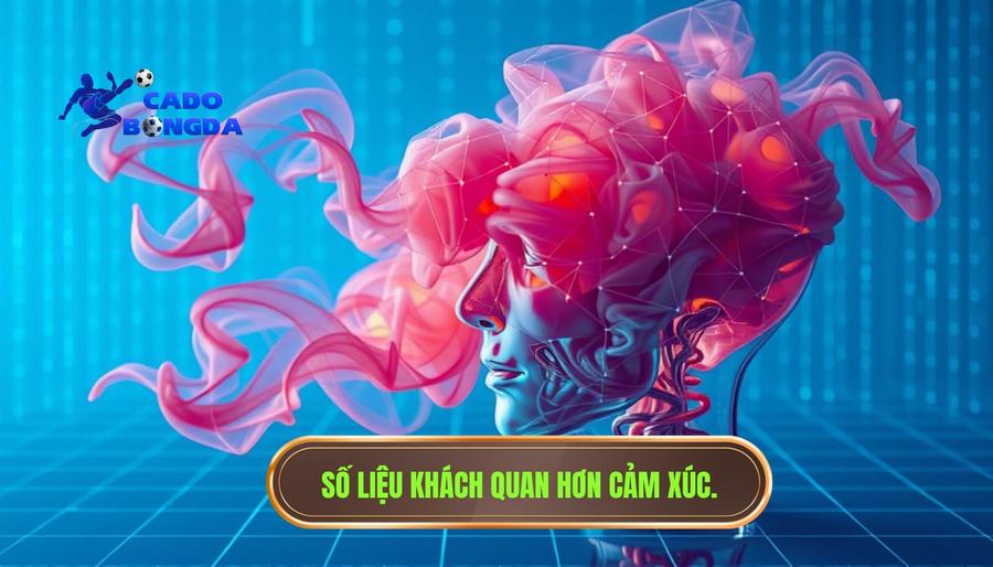 Tại sao số liệu luôn trung thực hơn cảm xúc?