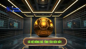 Kèo đẹp đôi khi là cái bẫy